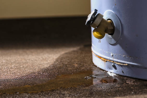 Best Water damage cleanup near me  in Hartley, IA