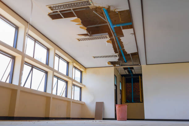 Best Water damage restoration process  in Hartley, IA