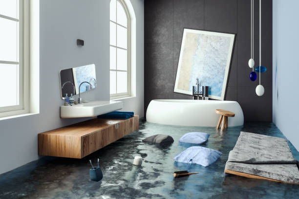 Best Mold removal after water damage  in Hartley, IA