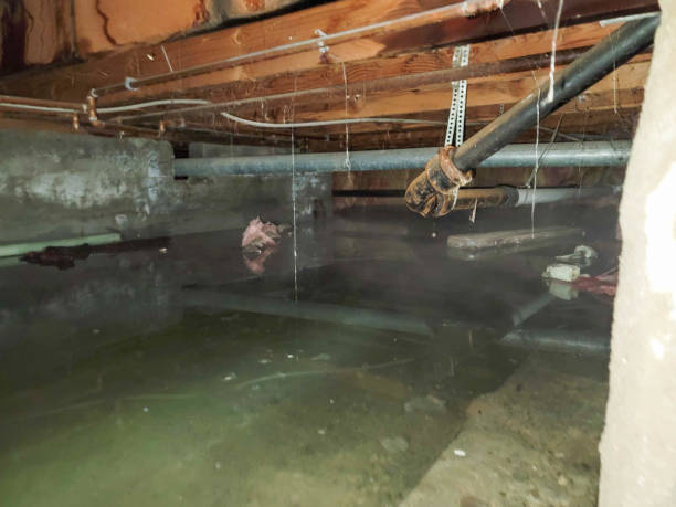 Best Flood damage cleanup  in Hartley, IA