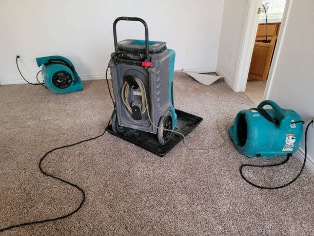 Best Flooded house restoration  in Hartley, IA