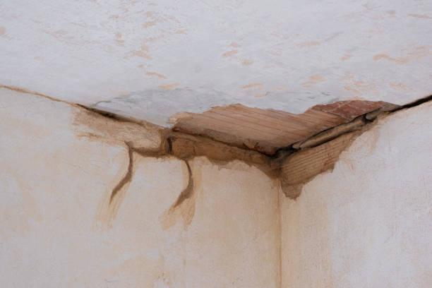 Best Water damage restoration experts  in Hartley, IA