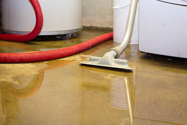 Best Water damage contractors near me  in Hartley, IA