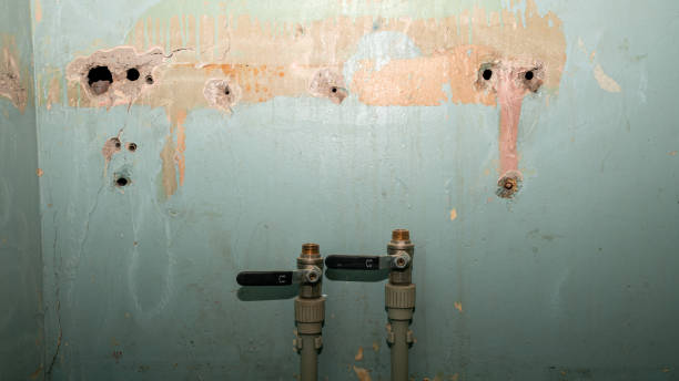 Best 24/7 water damage repair  in Hartley, IA