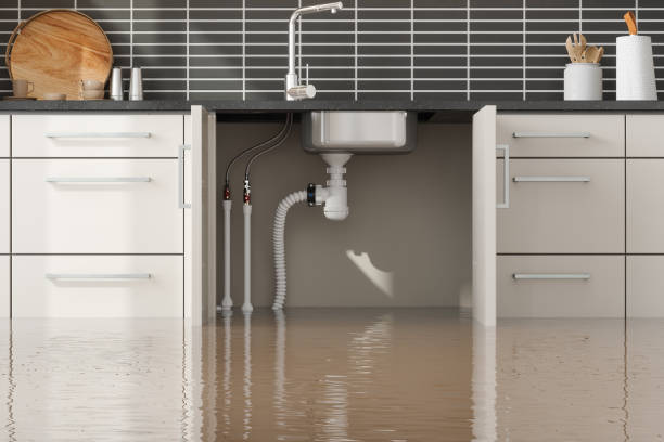  Hartley, IA Water damage restoration Pros