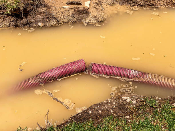 Best Emergency water damage restoration  in Hartley, IA