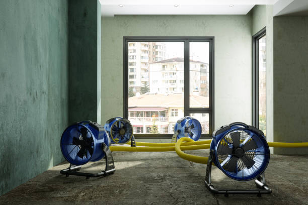 Best Water damage repair service  in Hartley, IA